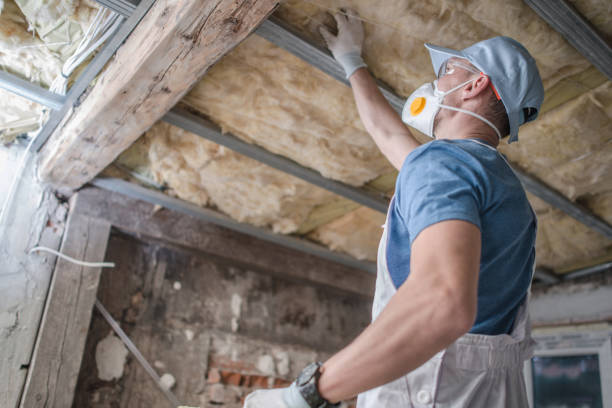 Best Types of Insulation in Collings Lakes, NJ
